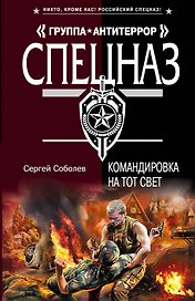 Командировка на тот свет : роман