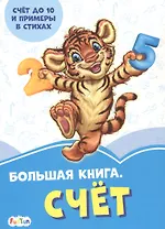 Большая книга. Счет