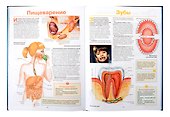 Большая энциклопедия школьника - 2