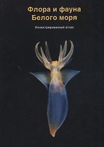 Флора и фауна Белого моря. Иллюстрированный атлас