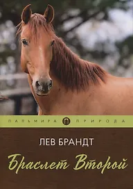 Браслет Второй. Повесть