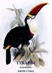 Туканы. Набор открыток