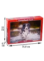 Пазл 500 Свобода (47х33) (B-52424) (Castorland Puzzle) (9+)