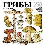 Грибы: 250 видов съедобных, ядовитых и лечебных грибов