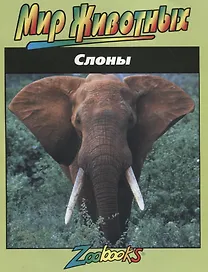 Слоны