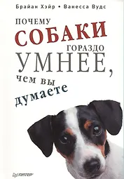 Почему собаки гораздо умнее, чем вы думаете.