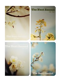 Тетрадь общая «Springtime», 46 листов в линейку, В5, в ассортименте - Languo