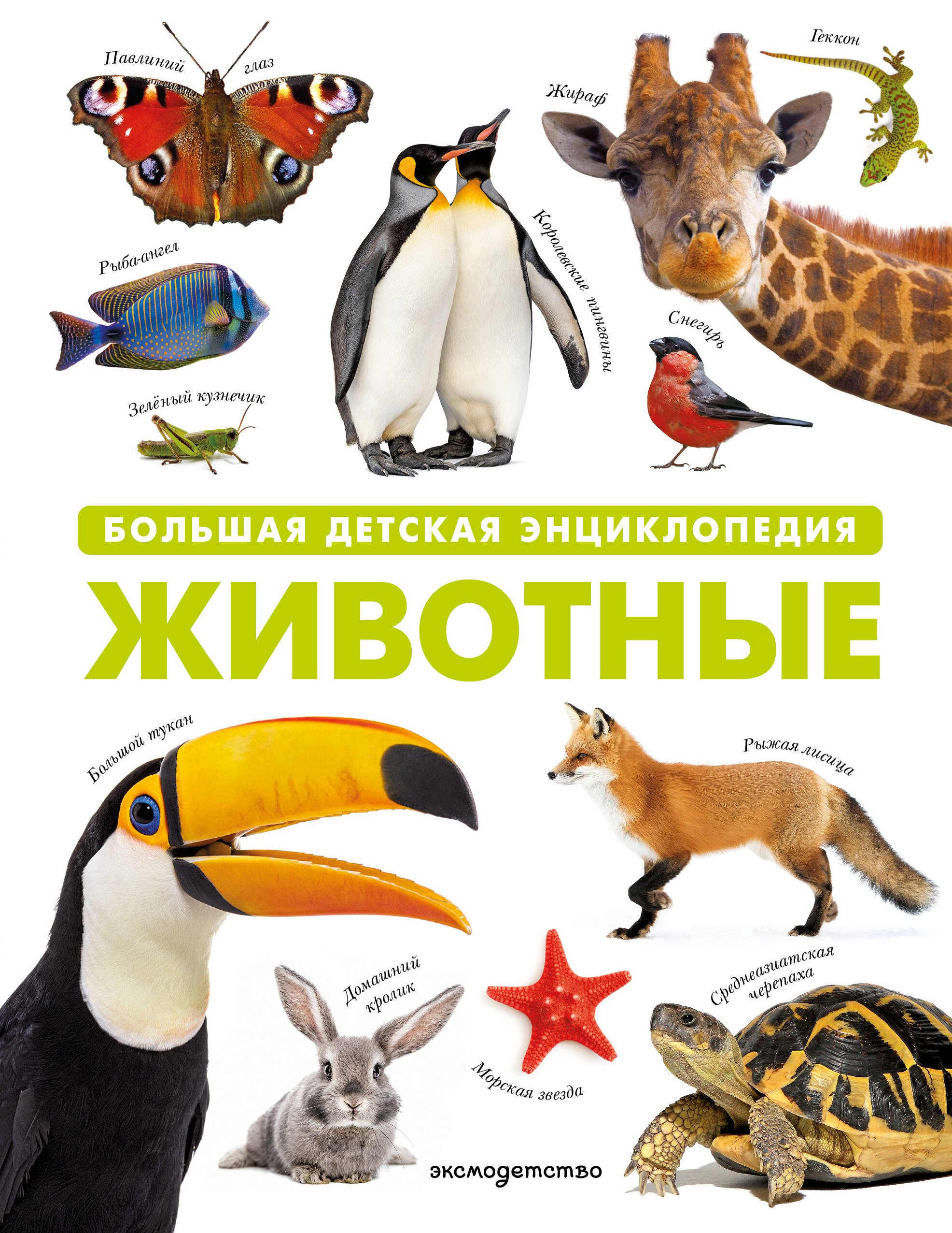 

Животные. Большая детская энциклопедия