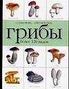 Справочник-определитель.Грибы.Более 120 видов - 0
