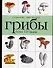 Справочник-определитель.Грибы.Более 120 видов - 0
