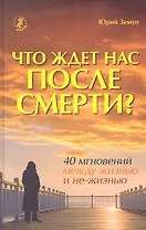 Что ждет нас после смерти? 40 мгновений между жизнью и не-жизнью.