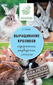Выращивание кроликов