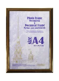 Фоторамка пластик 21*30, 280 бронза/карел.береза, Канцбург
