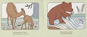 Две веселых строчки для сына и для дочки. Природа - 1