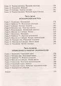 Жестокая гвардия неба - 2