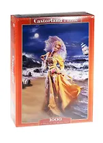 Пазлы 1000 C-103324 Прогулка при луне (68х47см) (Castorland)