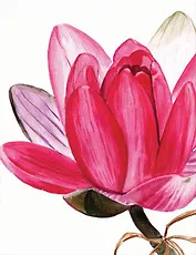 Бумажный пакет с матовой ламинацией (26х33х13) (16099) (Феникс-Презент)