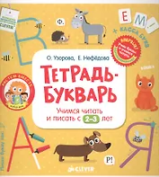 Тетрадь-Букварь. Учимся читать и писать с 2-3 лет (большой формат)