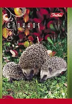 Блокнот А7 40л кл. "Животные России" гребень, тонир.блок, цв.обл, офсет, Hatber