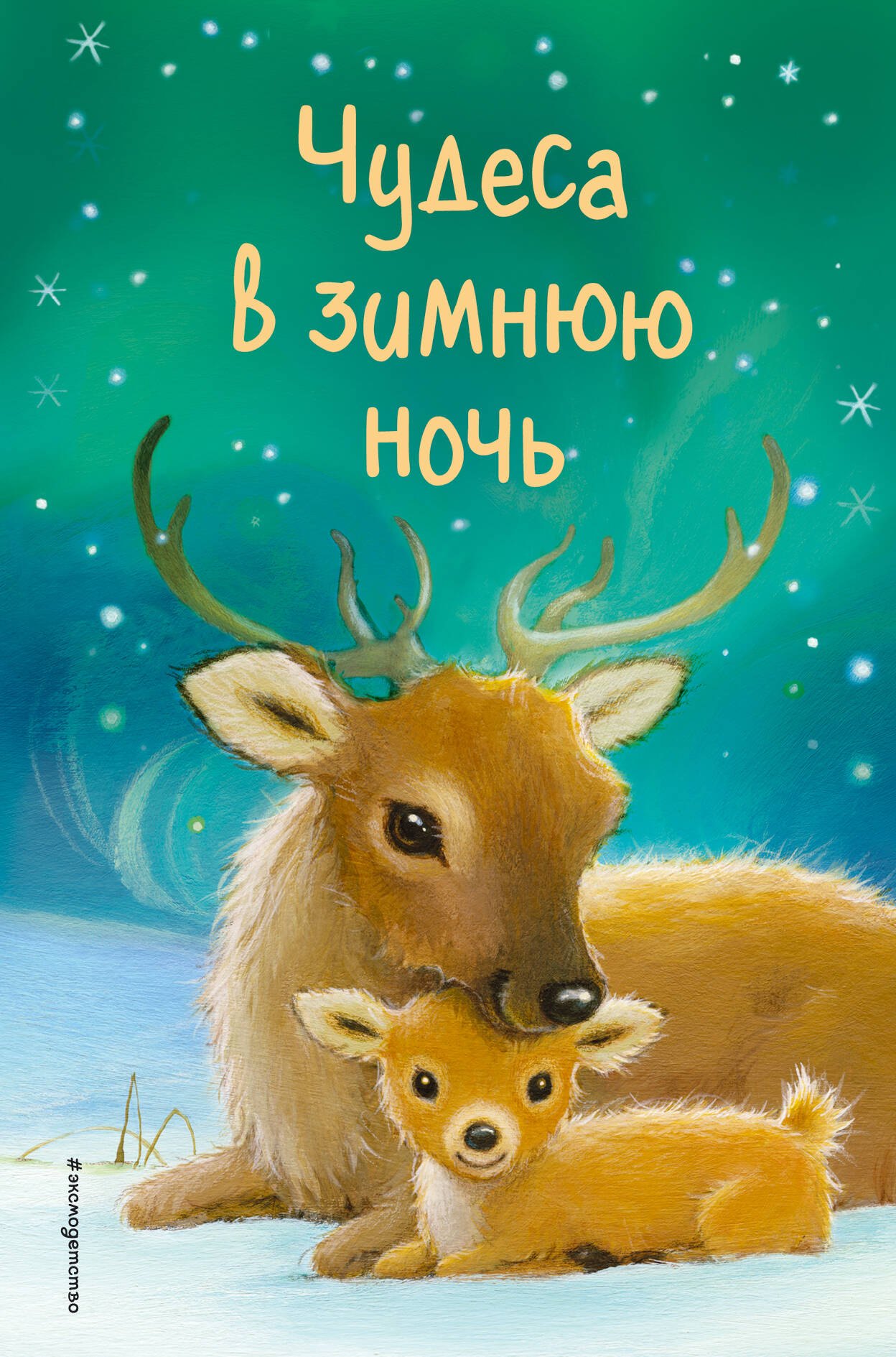 

Чудеса в зимнюю ночь (выпуск 2)