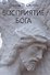 Восприятие Бога. Эпистемология религиозного опыта - 0