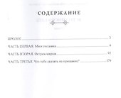 Встретимся в небе (Киселев) - 1