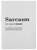 Обложка для паспорта Sarcasm (словарь) (ПВХ бокс) - 0