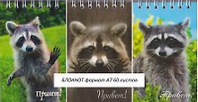 Блокнот А7 60 листов "Привет! Еноты"