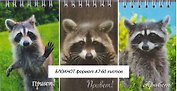 Блокнот А7 60 листов "Привет! Еноты"