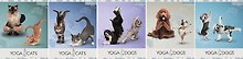 Тетрадь общая «Yoga dogs», 96 листов в клетку, А5, в ассортименте - Academy Style