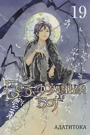 Бездомный бог. Том 19 (Noragami). Манга