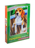 Набор Раскр. по номерам Любимые дом. животные (Р-3864) (краски 12цв.) (+2эскиза) (+кисть) (Рыжий кот)
