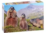 Пазл "Альпийские сурки", 500 деталей