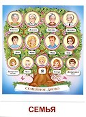 Дем. картинки СУПЕР Семья. 8 демонстр.картинок с текстом (173х220мм) - 2