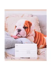 Тетрадь в линейку Listoff, "Утро собачек", 18 листов, в ассортименте