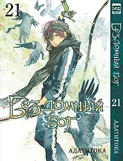 Бездомный бог. Том 21 (Noragami). Манга