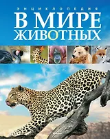 В мире животных