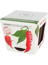 Набор д/выращивания растений Plant Republic, Перец острый Призрак