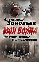На коне, танке и штурмовике. Записки воина-философа