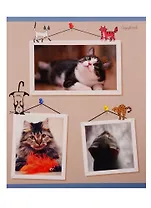 Тетрадь в клетку Unnika, "Фотокот", 48 листов, в ассортименте