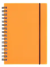 Тетрадь 80 листов, клетка, "Favorite Color. Neon Orange" спираль