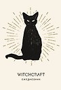 Ежеденевник недат. А5 72л "Witchcraft (белая обложка)"