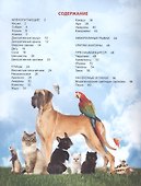 Энциклопедия для детей наши любимые питомцы - 1