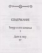Тимур и его команда - 2