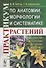 Практикум по анатомии, морфологии и систематике растений - 0