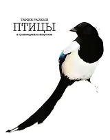 Такие разные ПТИЦЫ в произведениях искусства