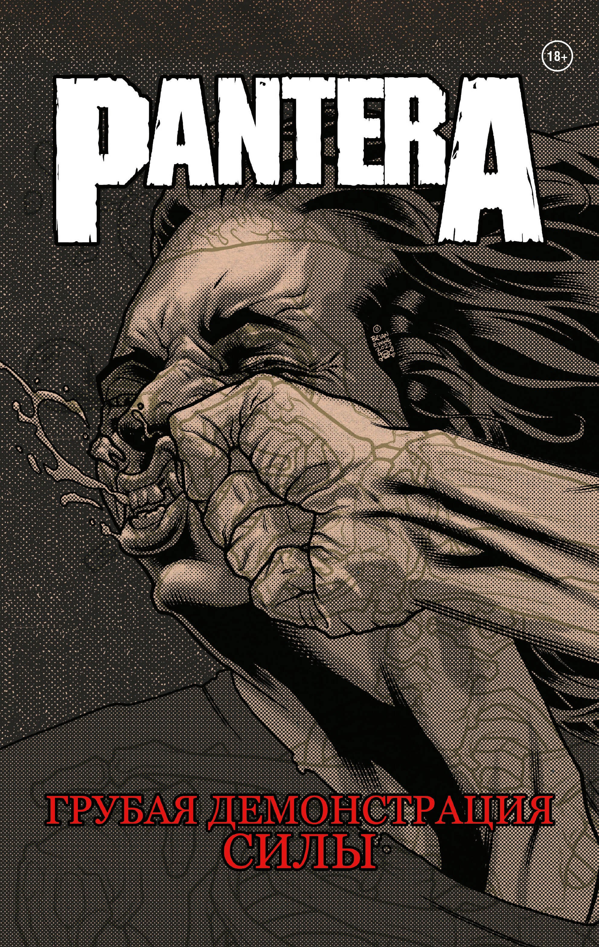 

Pantera. Грубая демонстрация силы