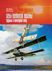 Асы Великой войны. Судьбы и последний след