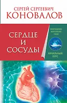 Сердце и сосуды. Информационно-энергетическое Учение. Начальный курс