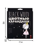 Карандаши цветные «BlackwoodColor», Bruno Visconti, 24 цвета, в ассортименте - 1